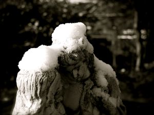 昨日は雪かき！？