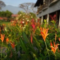 HONDURAS 2016 • <a style="font-size:0.8em;" href="http://www.flickr.com/photos/37169974@N03/32583459195/" target="_blank">View on Flickr</a>