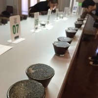 Cup of Excellence 2015 • <a style="font-size:0.8em;" href="http://www.flickr.com/photos/37169974@N03/25984468494/" target="_blank">View on Flickr</a>