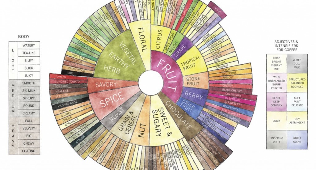 Coffee Taster’s Flavor Wheel 改 ?！