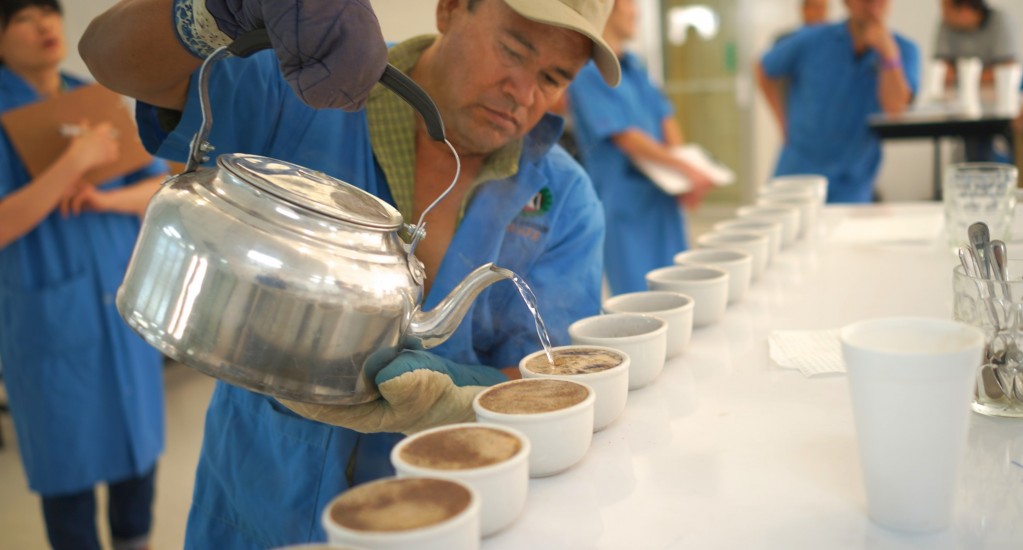 コーヒー豆 素材調達の旅 ホンジュラス編 ③