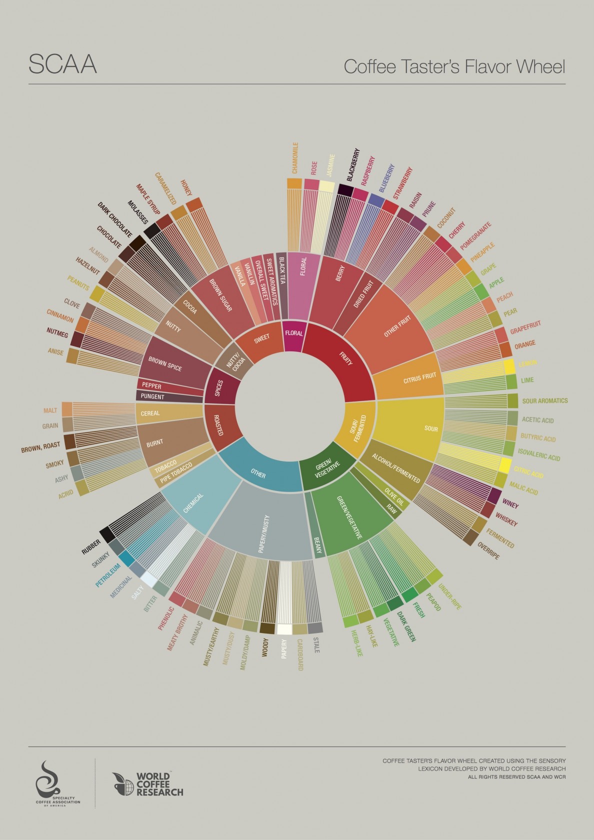 NEW_SCAA_FlavorWheel.