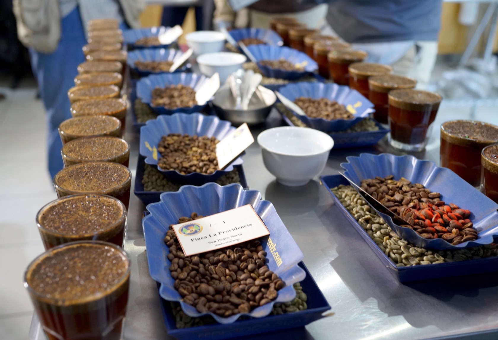 スペシャルティコーヒー素材買付の旅2016  グアテマラ