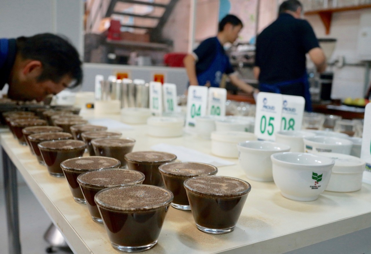 ブラジル バイーア 2016