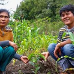 ポルン アルフィナ