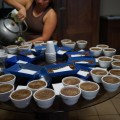 Guatemala AntiguaのBella Vistaミルでのカッピング