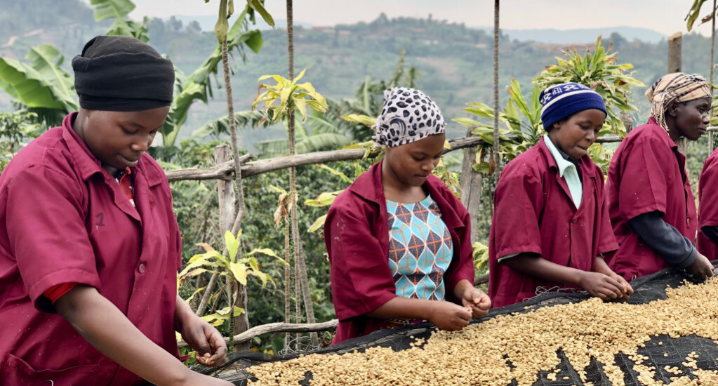 4月1日より、一部価格改訂させていただきます