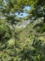 IMG_3580
