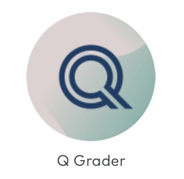 Evolved Q Grader