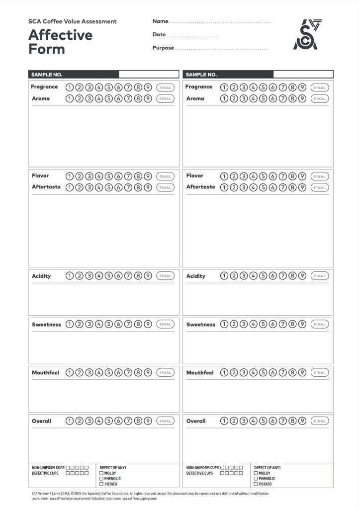 SCA CVA Affective Form