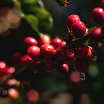 スクリーンショット 2026-04-17 15.27.04