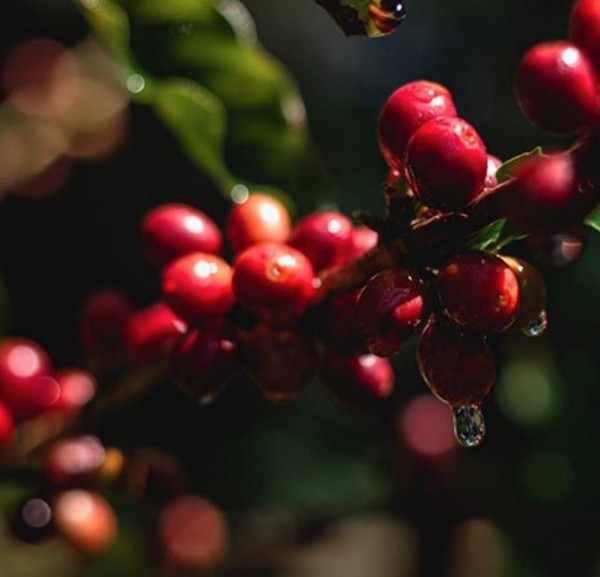 スクリーンショット 2026-04-17 15.27.04